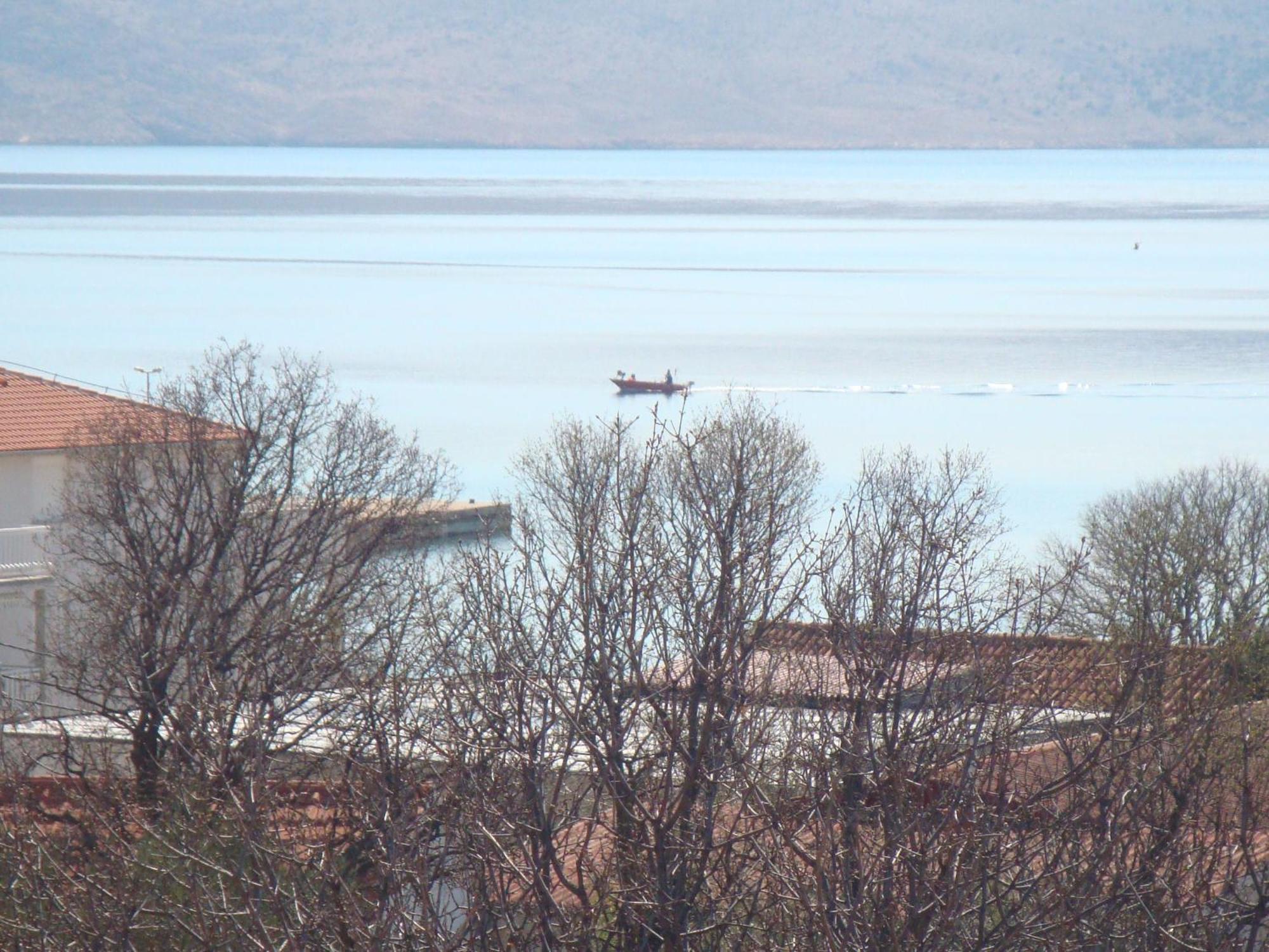 Apartments Vukelic Starigrad Paklenica Eksteriør billede